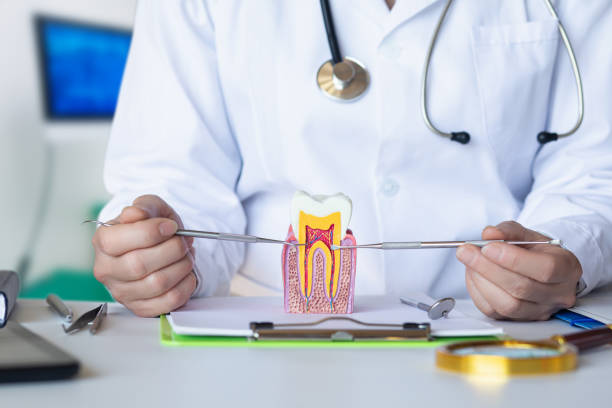 Best Emergency Dentist for Knocked-Out Tooth in East Lexington, VA